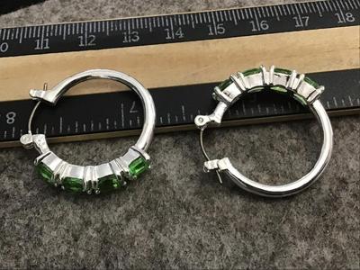 Costume Hoop Earrings