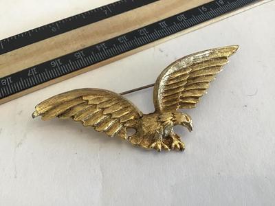 Large Eagle Pin