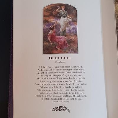 LOT 171: Lustreware Pixie Watering Can, IPC Co Portugal Ceramic Watering Can & More