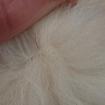 Fourrures George V Faux Fur Coat (LR-KD)