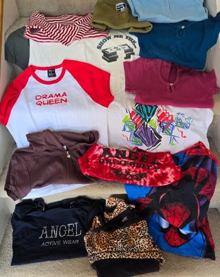 LOT 6B: Y2K Crop Tops, Tanks & Little T-Shirts: Spider-man, Drama Queen, Angel & More