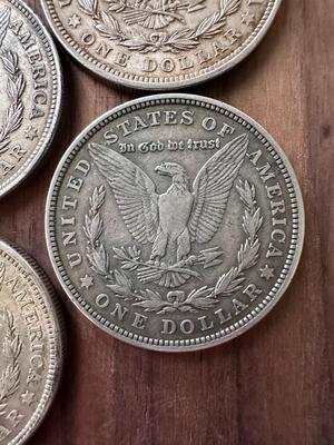Morgan Silver Dollars (Lot of 7) 1921
