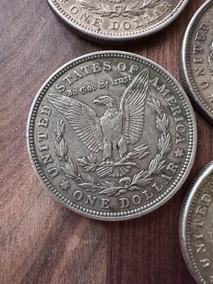 Morgan Silver Dollars (Lot of 7) 1921