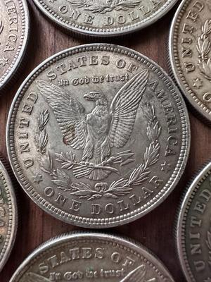 Morgan Silver Dollars (Lot of 7) 1921