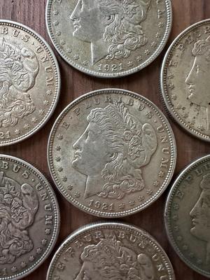 Morgan Silver Dollars (Lot of 7) 1921