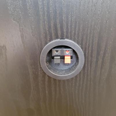 Sony Bookshelf Speakers (BD-EL)