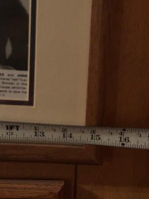 Vintage Framed Art - Mel Brooks and Anne Bancroft