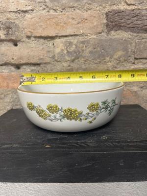 A Plethora of Bowls -Spode, V & B, Mikasa