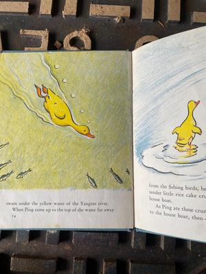 The Story about Ping