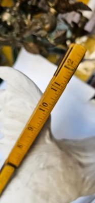 White Chicken Bendel 1908 signed porcelain Rooster