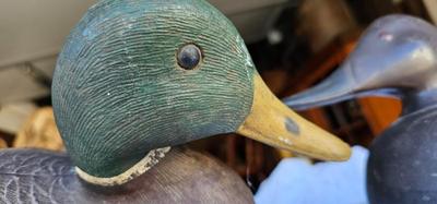 2 Vintage Decoys One Rubber and one plastic Ducks #5, one is marker Herters INC Waseca Minn