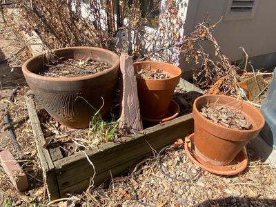 3 CLAY POTS AND DECORATIVE ETCHED FLAGSTONE