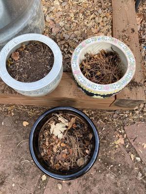 DECORATIVE CERAMIC POTS
