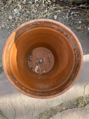 BARREL PLANTER, CLAY POT AND RAISED PLASTIC PLANTER
