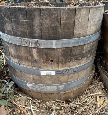 BARREL PLANTER, CLAY POT AND RAISED PLASTIC PLANTER