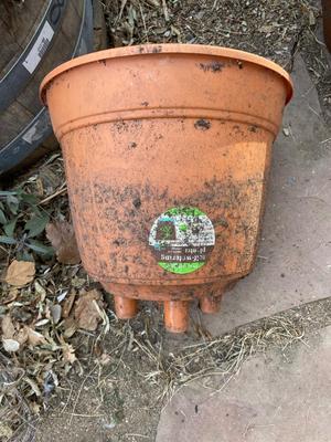 BARREL PLANTER, CLAY POT AND RAISED PLASTIC PLANTER