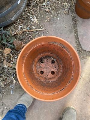 BARREL PLANTER, CLAY POT AND RAISED PLASTIC PLANTER