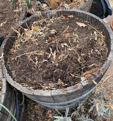 BARREL PLANTER, CLAY POT AND RAISED PLASTIC PLANTER