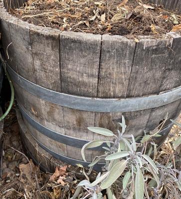BARREL PLANTER, CLAY POT AND RAISED PLASTIC PLANTER