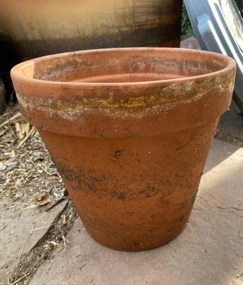 BARREL PLANTER, CLAY POT AND RAISED PLASTIC PLANTER