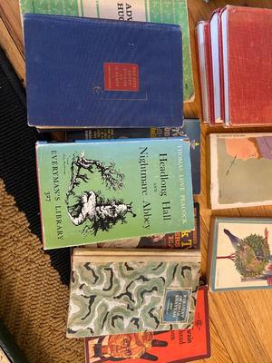 MARK TWAIN BOOKS & A FEW MORE!