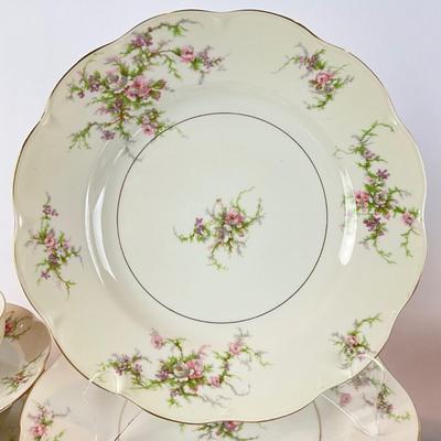 D1280 Large 30 Pc Set of Theodore Haviland "Rosalinde" China