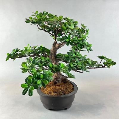 H1329 Large Artificial Bonsai Tree