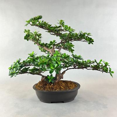 H1329 Large Artificial Bonsai Tree