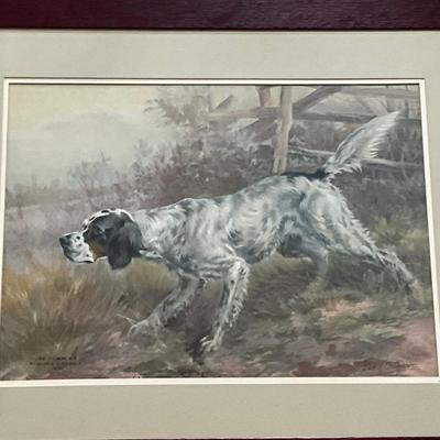 O1349 Vintage Joe Cummings b Antonio Picciola 1899 Spaniel Litograph