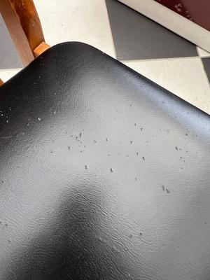 Vintage Findahls Mobelfabrik Sweden Chairs - Lot of 6