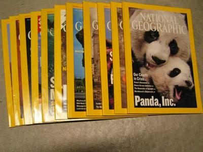 National Geographic magazines. Most in faux leather book shelf jackets.