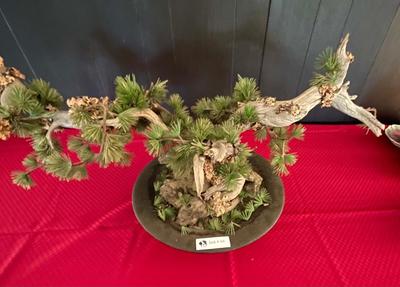 Fake Bonsai Tree Decoration