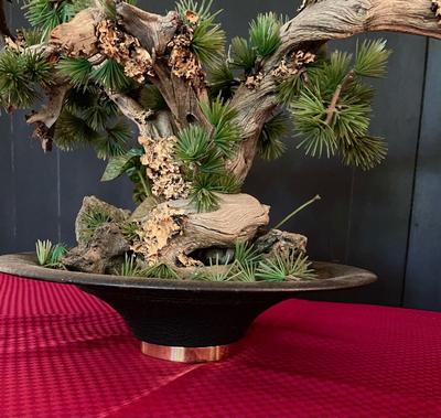 Fake Bonsai Tree Decoration