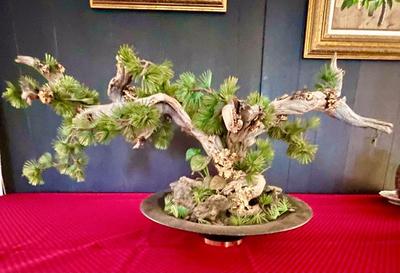 Fake Bonsai Tree Decoration