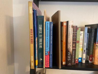 A WIDE VARIETY OF BOOKS AND NOVELS