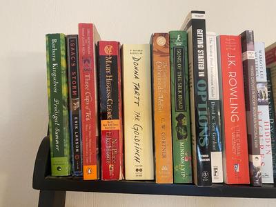 A WIDE VARIETY OF BOOKS AND NOVELS