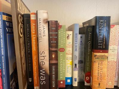 A WIDE VARIETY OF BOOKS AND NOVELS