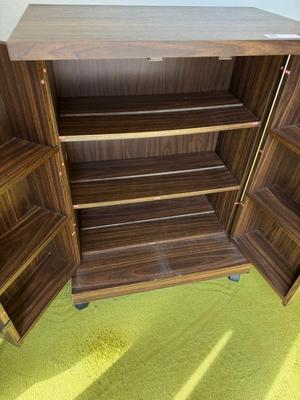 Vinatge Gusdorf Set of 2 VHS/ Media Storage Cabinets on Wheels