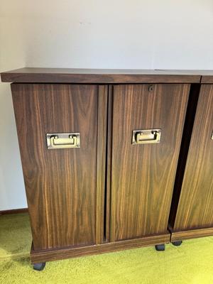 Vinatge Gusdorf Set of 2 VHS/ Media Storage Cabinets on Wheels