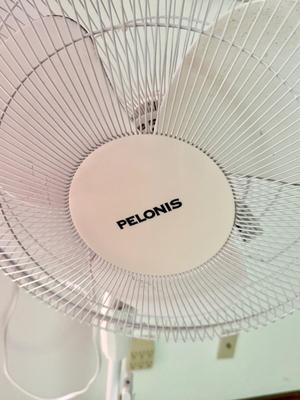 Pelonis Fan - works