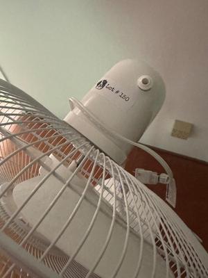 Pelonis Fan - works