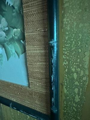 Vintage Asian Framed Painting