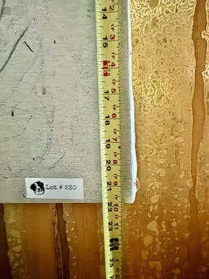 Vintage Cat Art Print on Canvas "Hug"