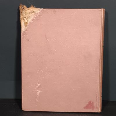 LOT 255: Collection of Vintage and Antique Children's Books