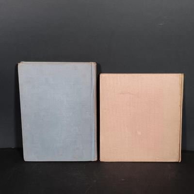 LOT 255: Collection of Vintage and Antique Children's Books