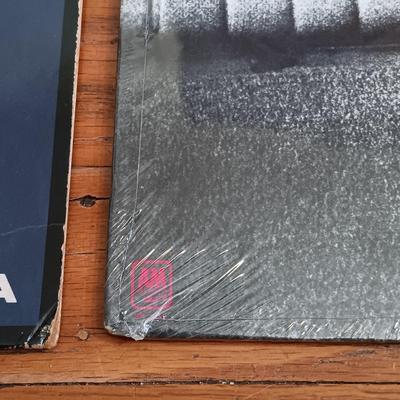 LOT 381: Vintage LPs- Michael Jackson, Black Sabbath, Echo and the Bunnymen & More