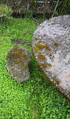 Vintage Concrete Outdoor Table and 4 Stools