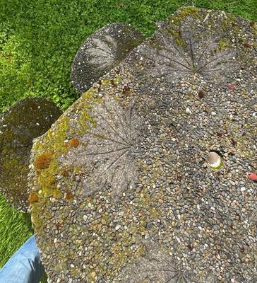 Vintage Concrete Outdoor Table and 5 Stools - Table is broken