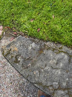 Stone Bench - broken