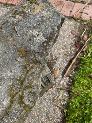 Stone Bench - broken